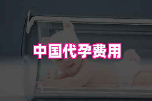 福建助孕网 1