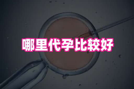 福建助孕网 2