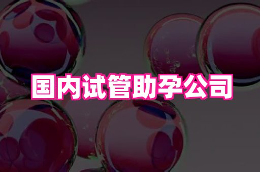 福建助孕网 4